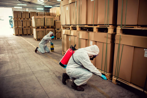 Best Pest Control Near Me in St Ignace, MI