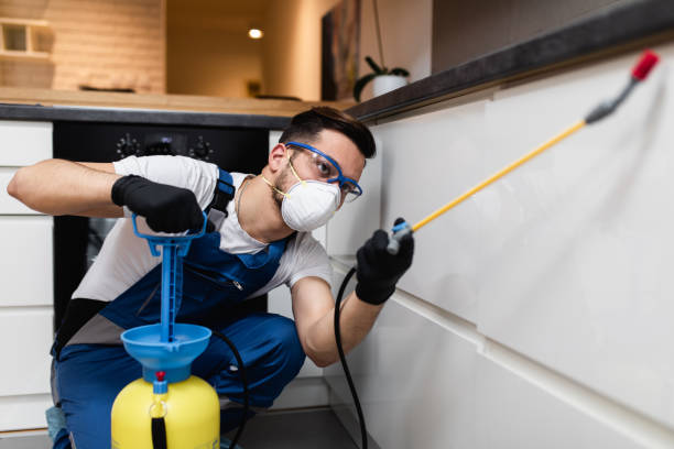 Best Mosquito Control Services  in St Ignace, MI