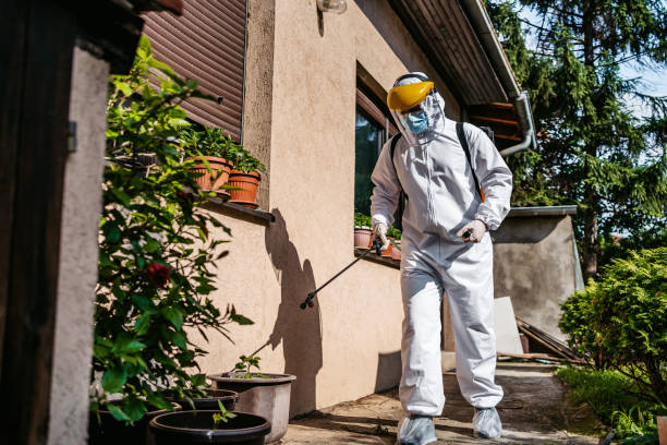 Best Ant Control Services  in St Ignace, MI