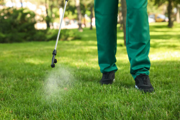 Best Cockroach Control Services  in St Ignace, MI