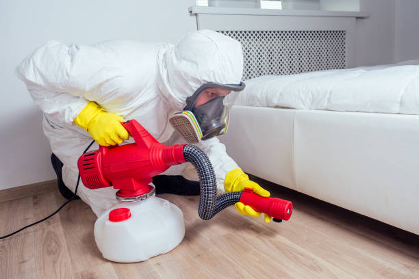 Best Pest Inspection Near Me  in St Ignace, MI