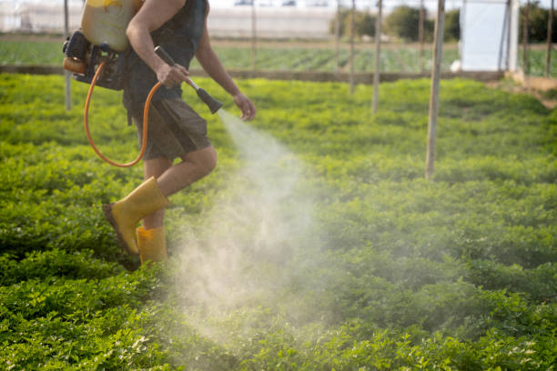 Best Pest Removal Services  in St Ignace, MI