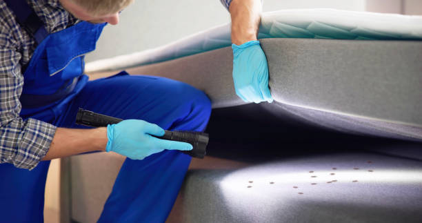 Best Mosquito Control Services  in St Ignace, MI