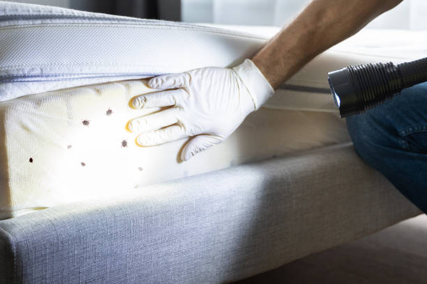  St Ignace, MI Pest Control Pros