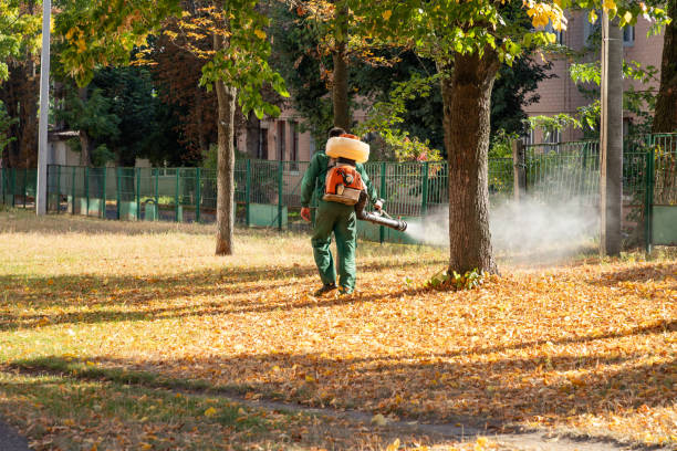 Best Ant Control Services  in St Ignace, MI