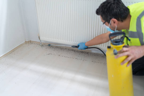 Trusted St Ignace, MI Pest Control Experts