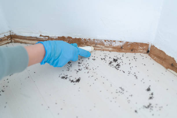 Best Exterminator Services  in St Ignace, MI