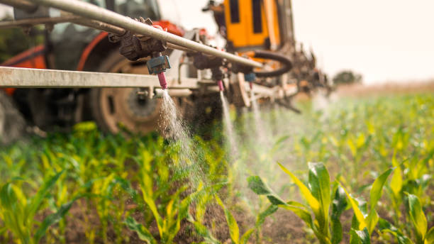 Best Commercial Pest Control Services  in St Ignace, MI