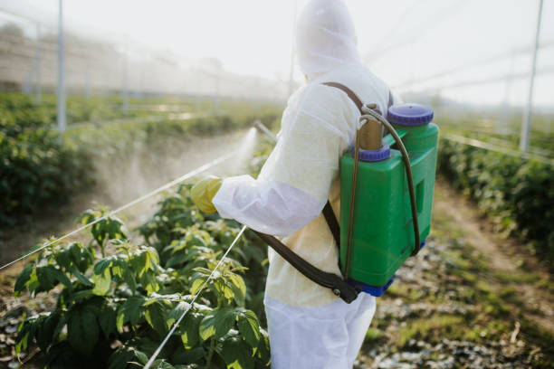 Best Flea Control Services  in St Ignace, MI